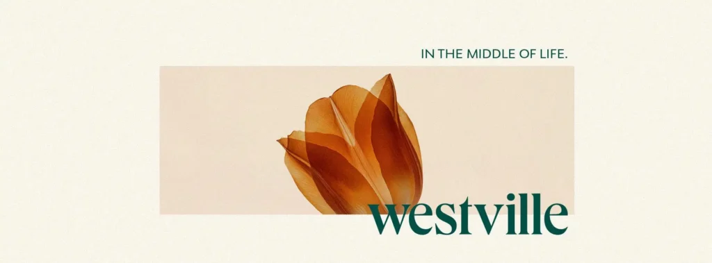 كمبوند ويست فيل أكتوبر | WestVille October