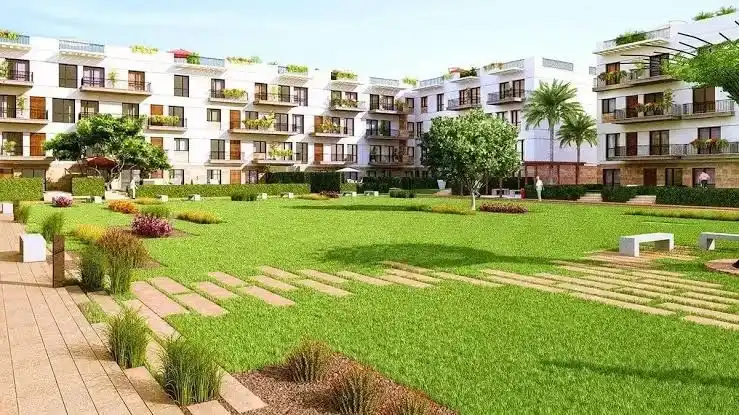 مساحة مشروع بارسيلو الشيخ زايد