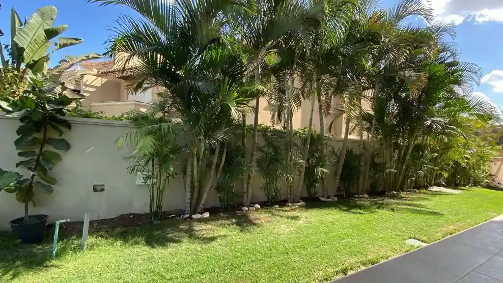كمبوند ميدوز بارك الشيخ زايد | Meadows Park - أشجار النخيل وسور الحديقة