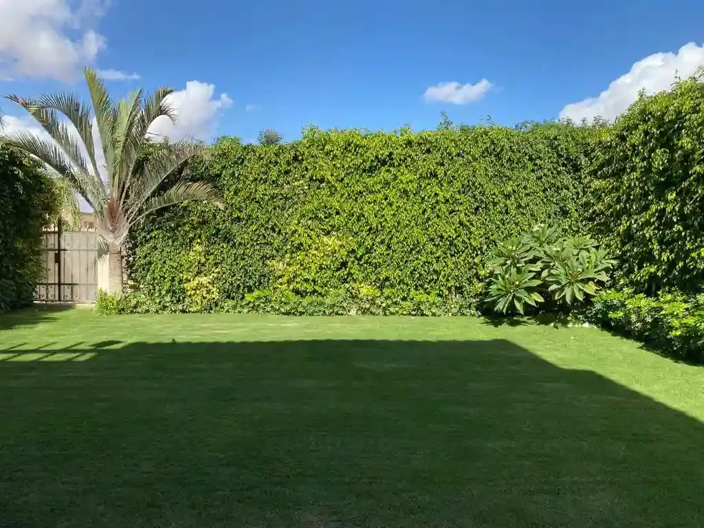 كمبوند ميدوز بارك الشيخ زايد | Meadows Park - تراس وجلسة خارجية